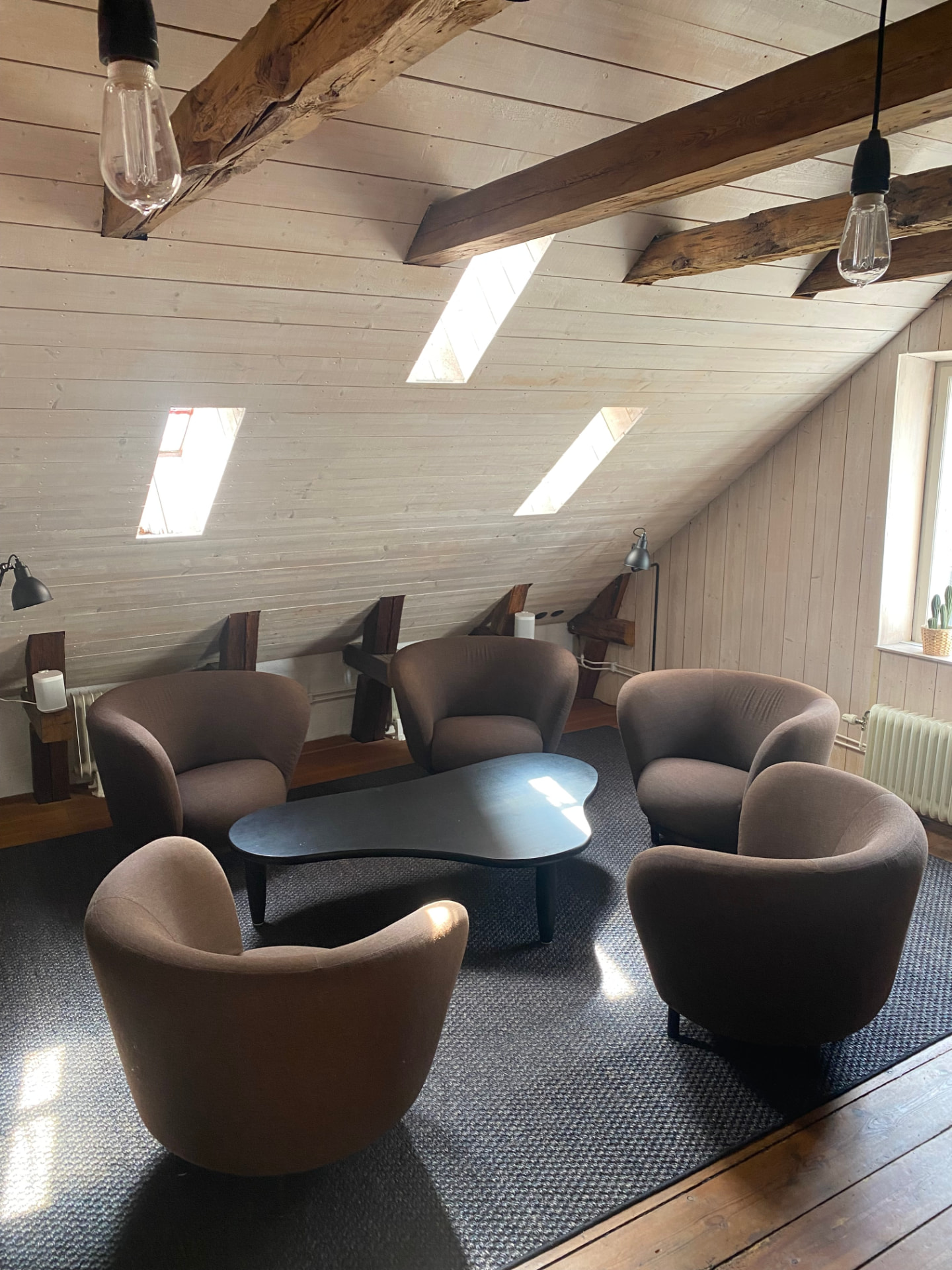 Attic lounge with timber beams and skylights